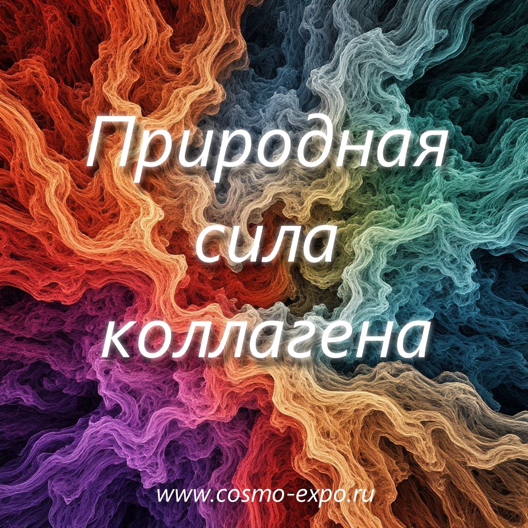 обзоры Москва